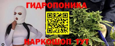 гашик Краснодар