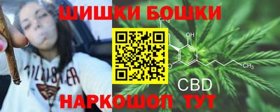 гашик Краснодар